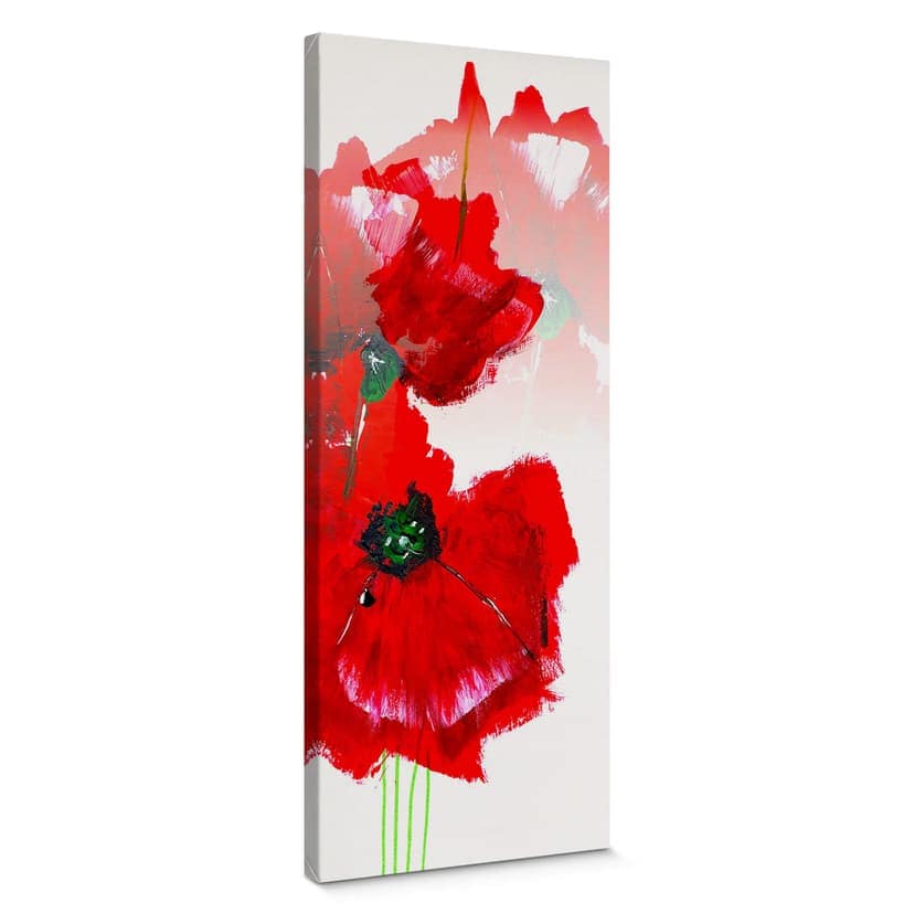 Obraz na płótnie Niksic - Papaver - Panorama