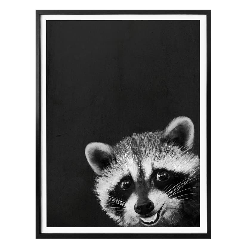 Plakat Graves - Racoon