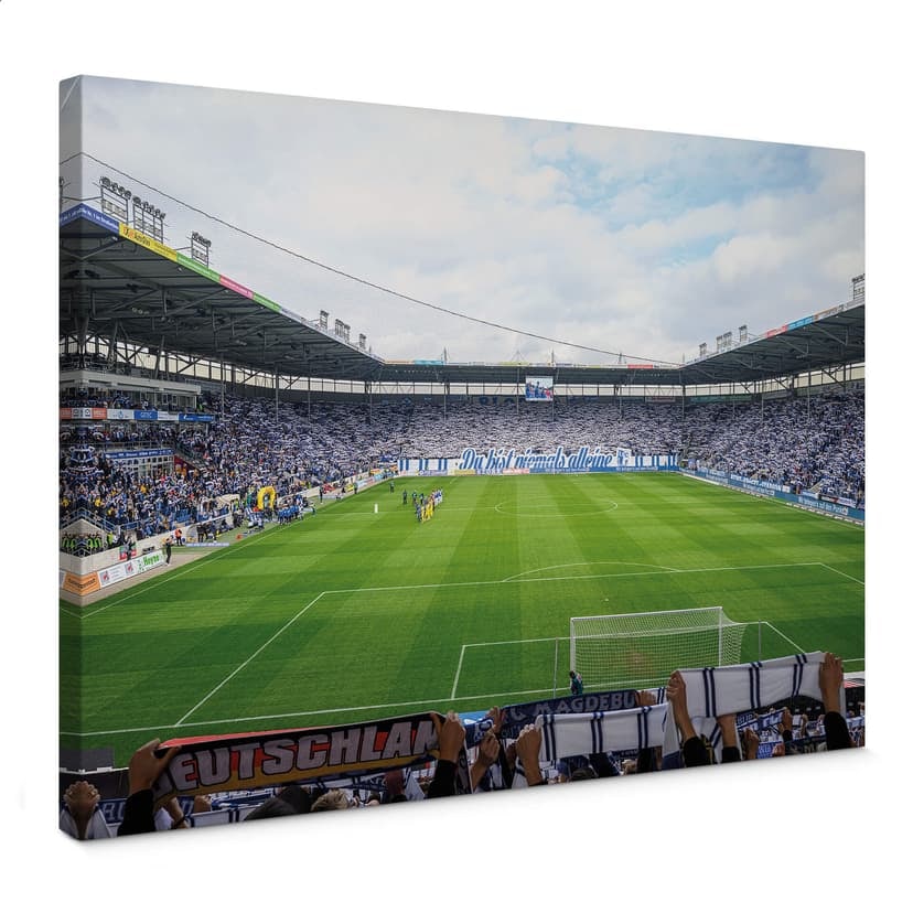 Obraz na płótnie 1. FC Magdeburg - Stadium Choreo