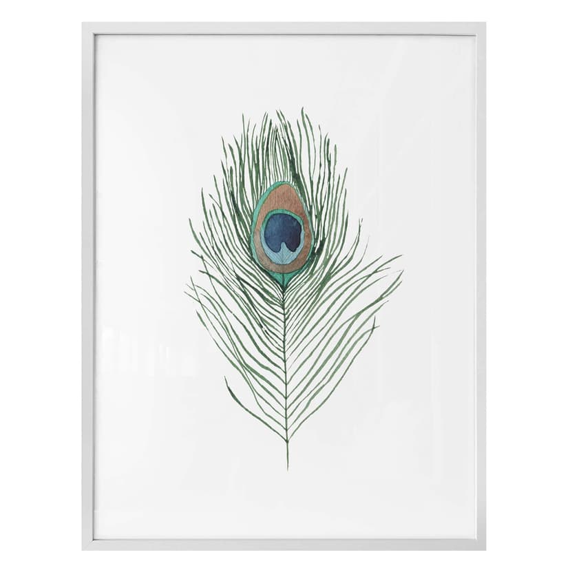 Plakat - Pawie oko