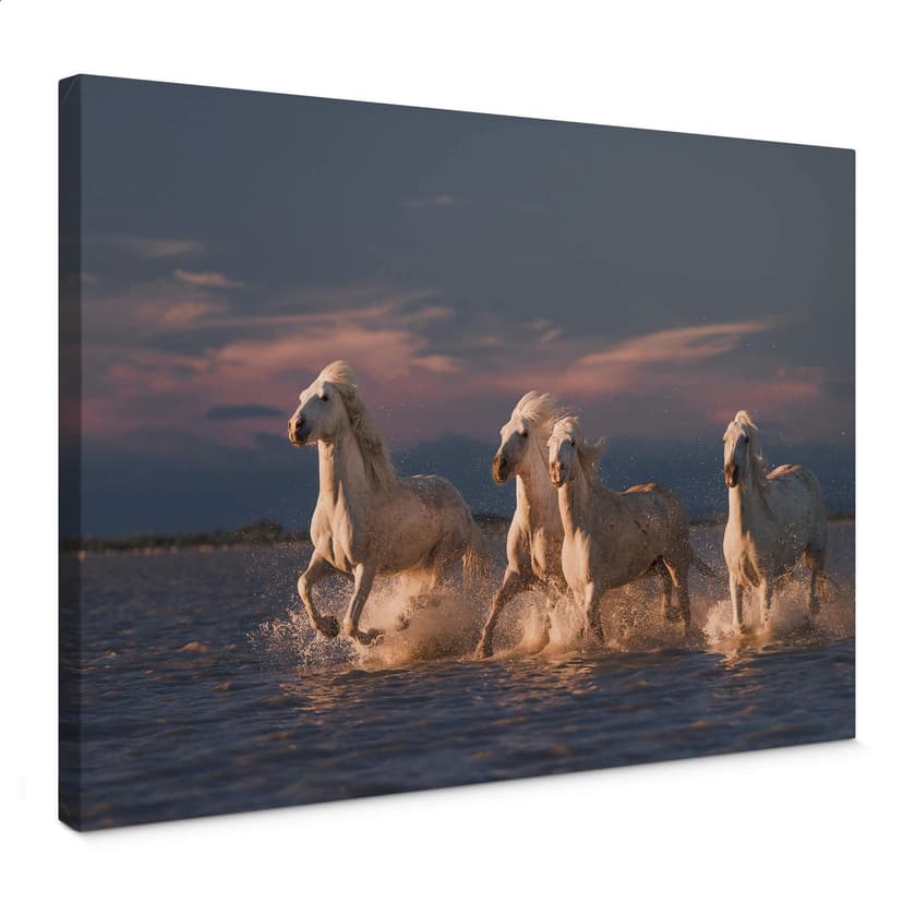 Obraz na płótnie Rostowski - Anioły Camargue