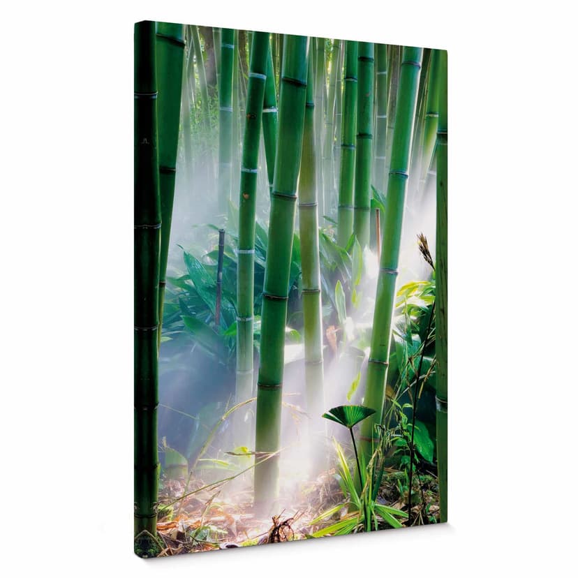 Obraz na płótnie Bamboo Forest