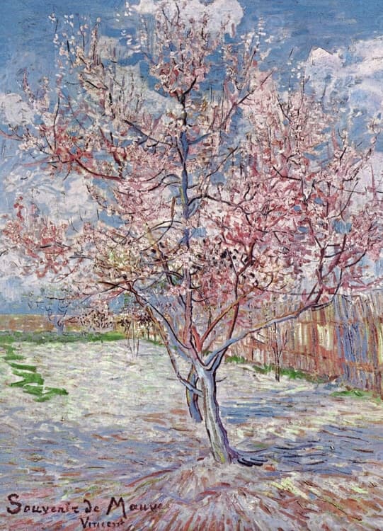 Poster Souvenir de Mauve - Pink Peach Tree in Blossom, 1888 Kunstdruck, Vincent van Gogh (24 x 30 cm