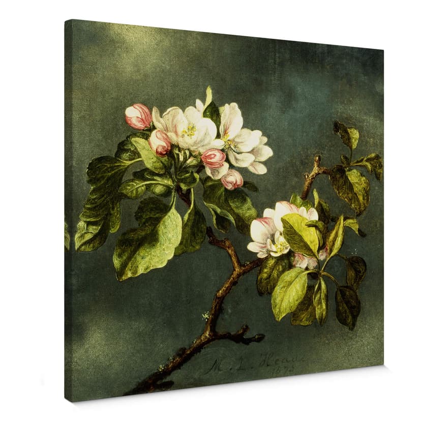 Obraz na płótnie Heade - Kwiaty jabłoni