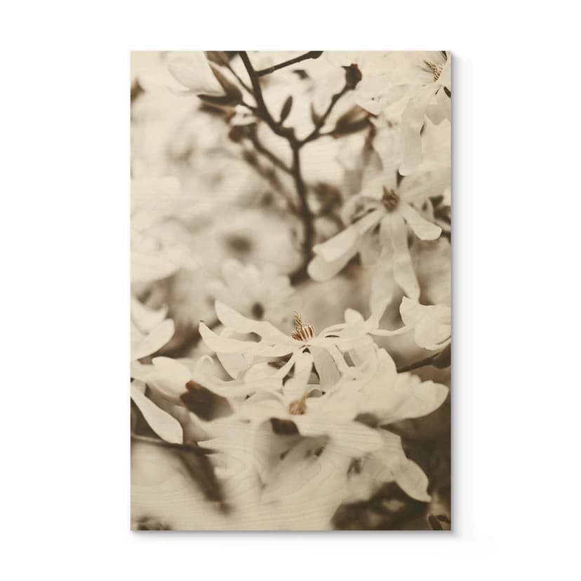 Plakat drewniany Annie - Jasmine