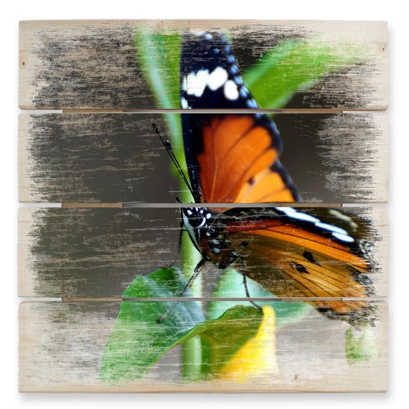 Obraz drewniany mały motyl - 40x41,5 cm