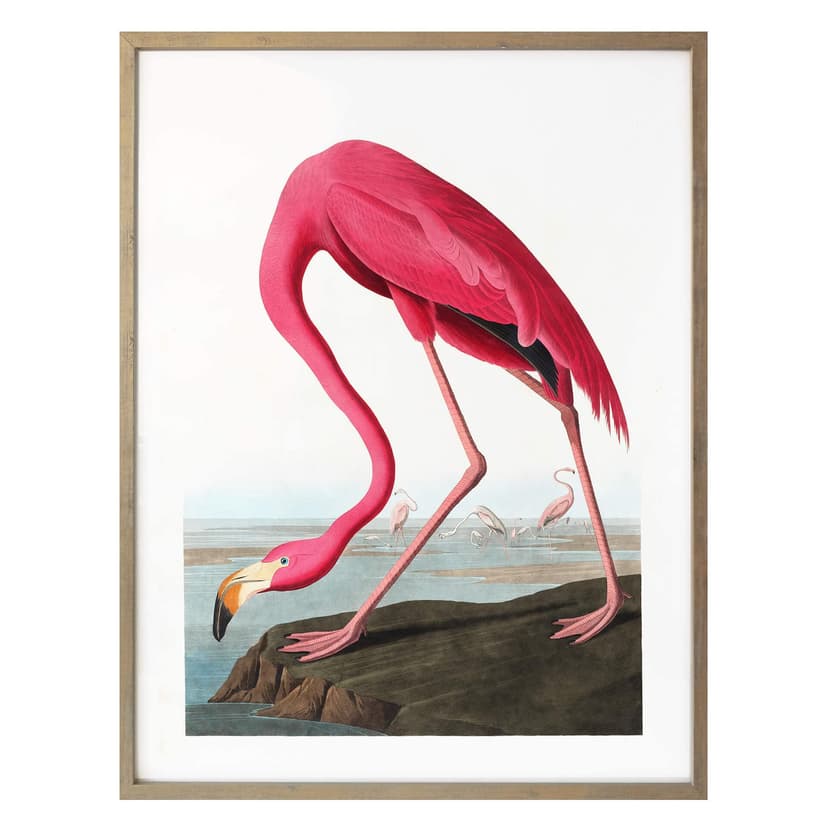 Plakat Pink Flamingo