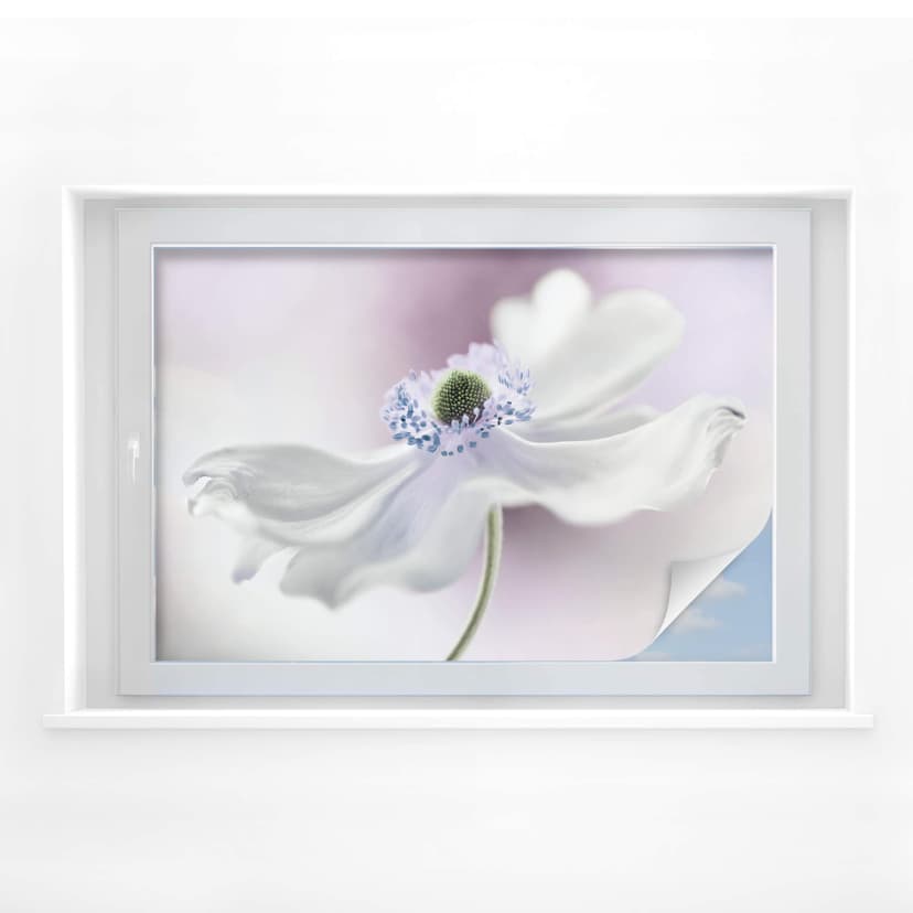 Folia do ochrony prywatności Disher - Anemone Breeze