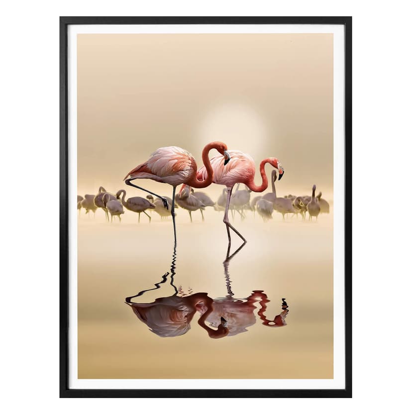 Plakat Osman - Flamingo