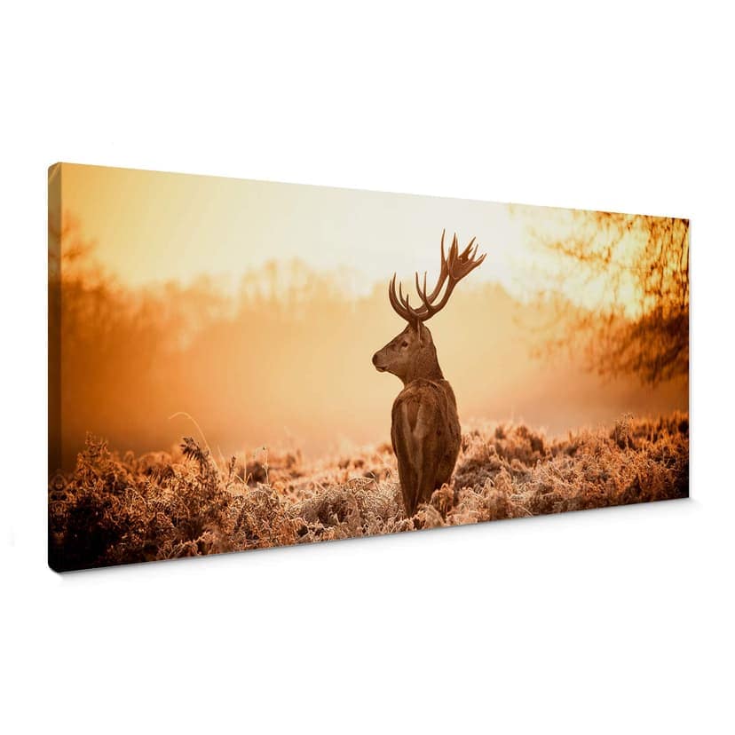 Obraz na płótnie Majestic Stag - Panorama
