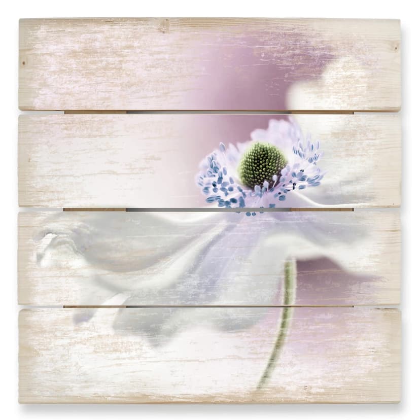 Obraz drewniany Disher - Anemone Breeze - 40x41,5 cm