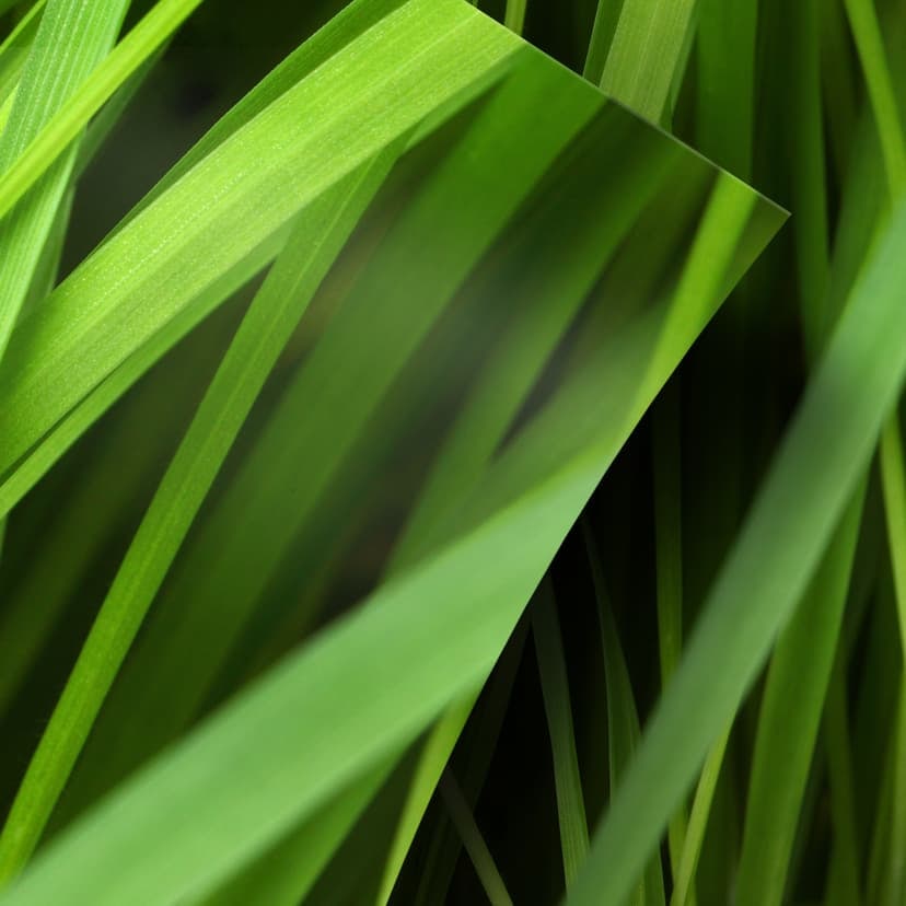Okleiny meblowe, folia dekoracyjna - do wycierania - Grasses 02