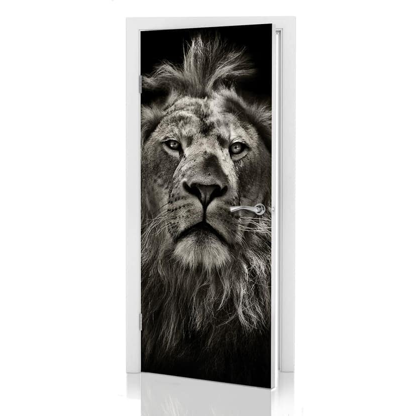 Konstrukcja drzwi Lion 91x200 cm