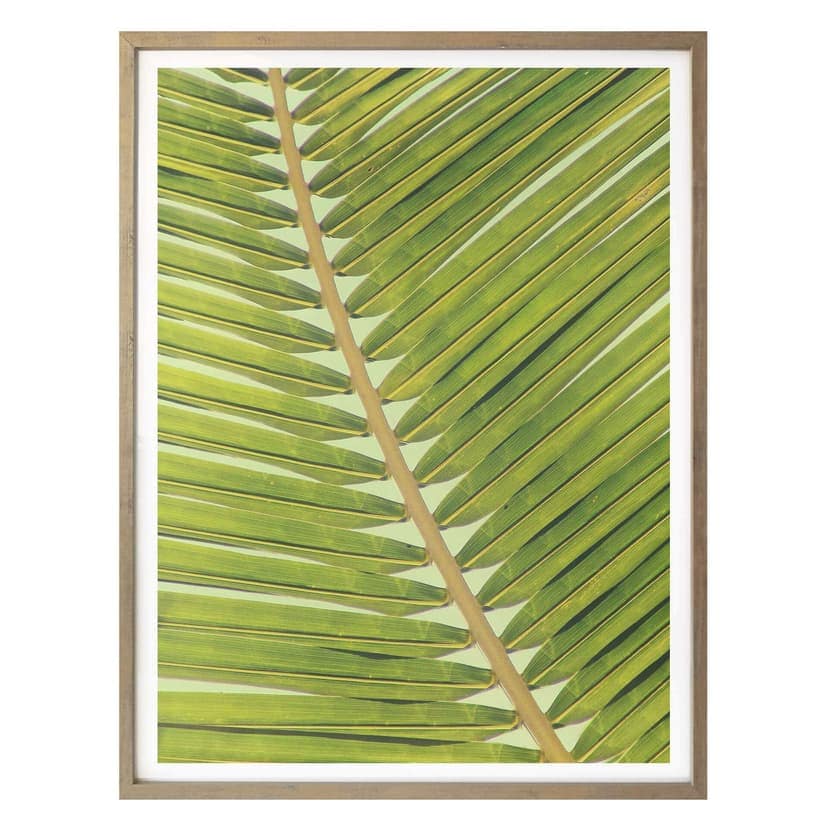 Plakat Palms 04
