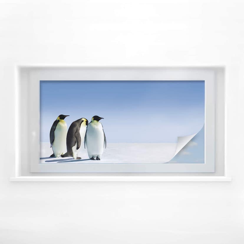 Film o prywatności Penguin - Panorama