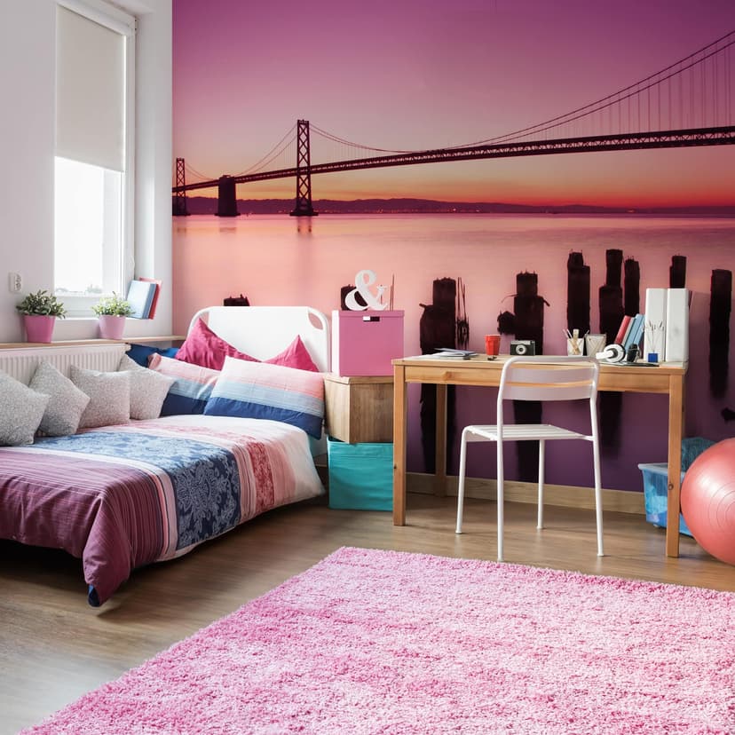 Fototapeta Zatoka San Francisco - 384x260 cm