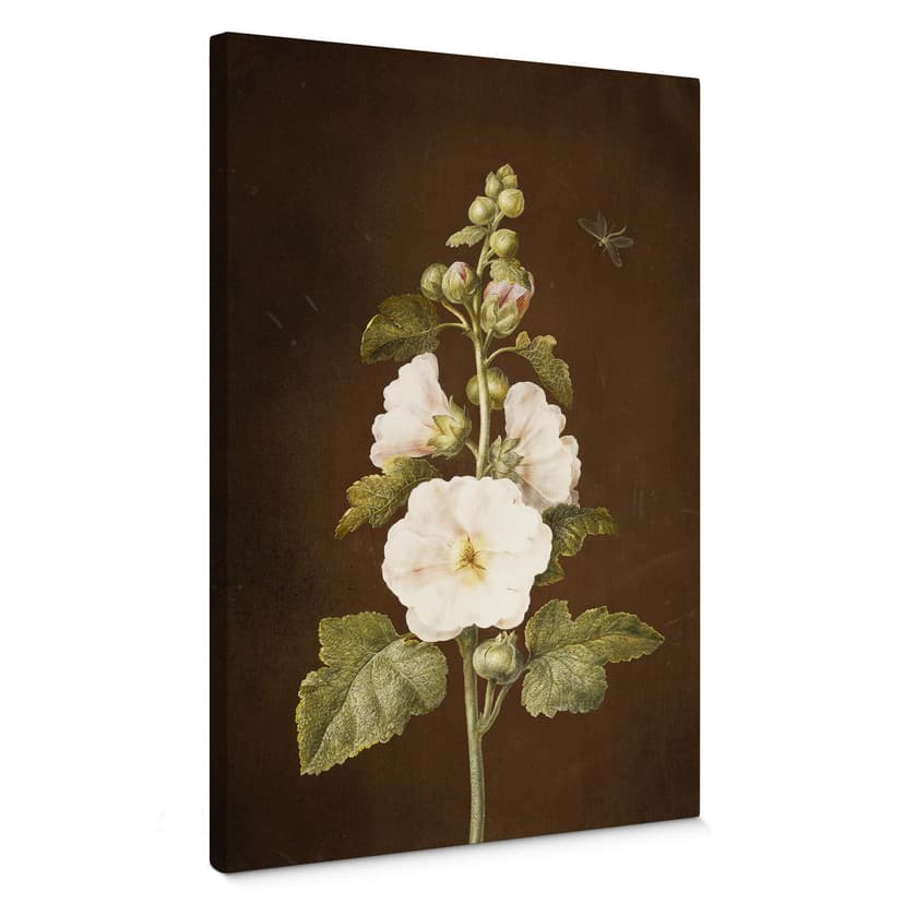 Obraz na płótnie Dietzsch - Hollyhock