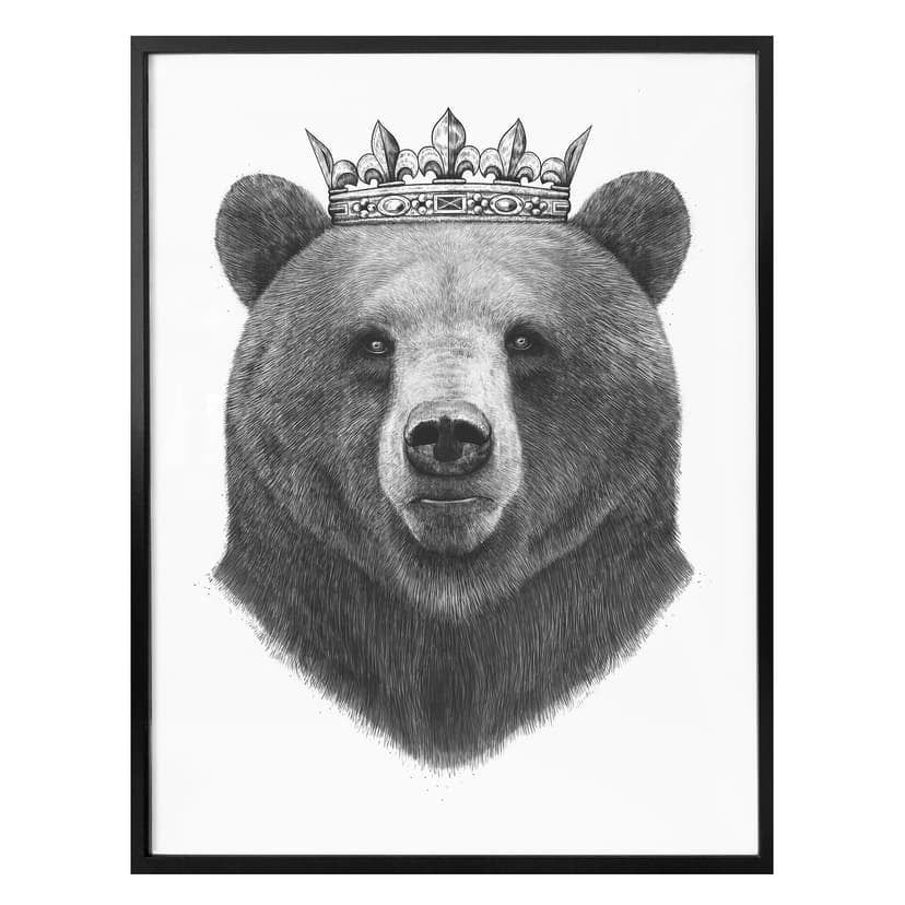Plakat Korenkova - Król Niedźwiedź