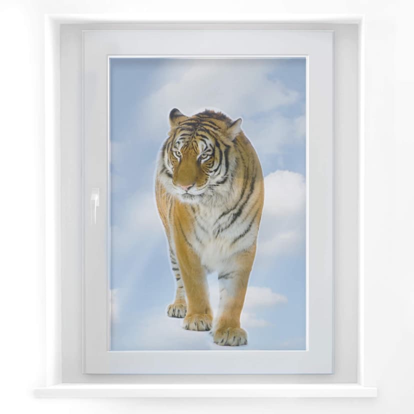 Fototapeta na okno Real Tiger