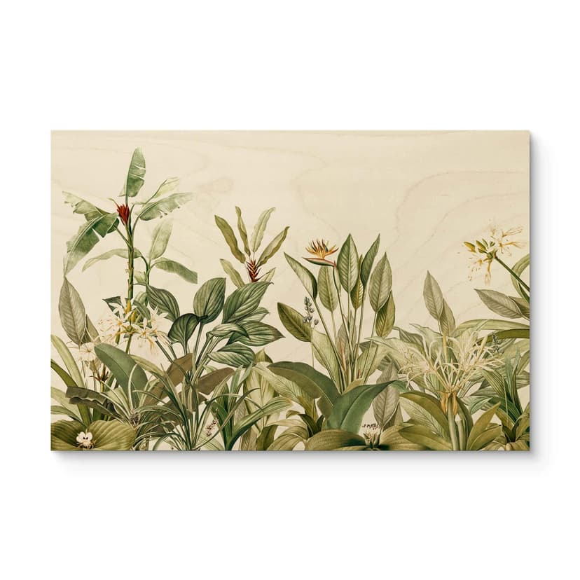 Plakat drewniany tropikalna botanika - UN Designs