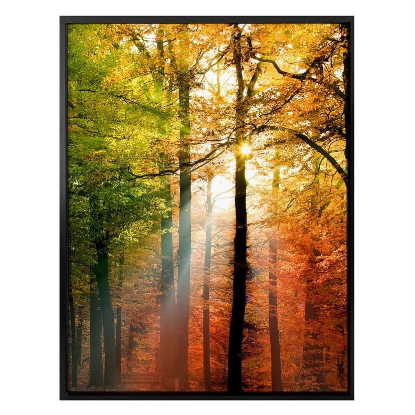 Plakat - Złota jesień