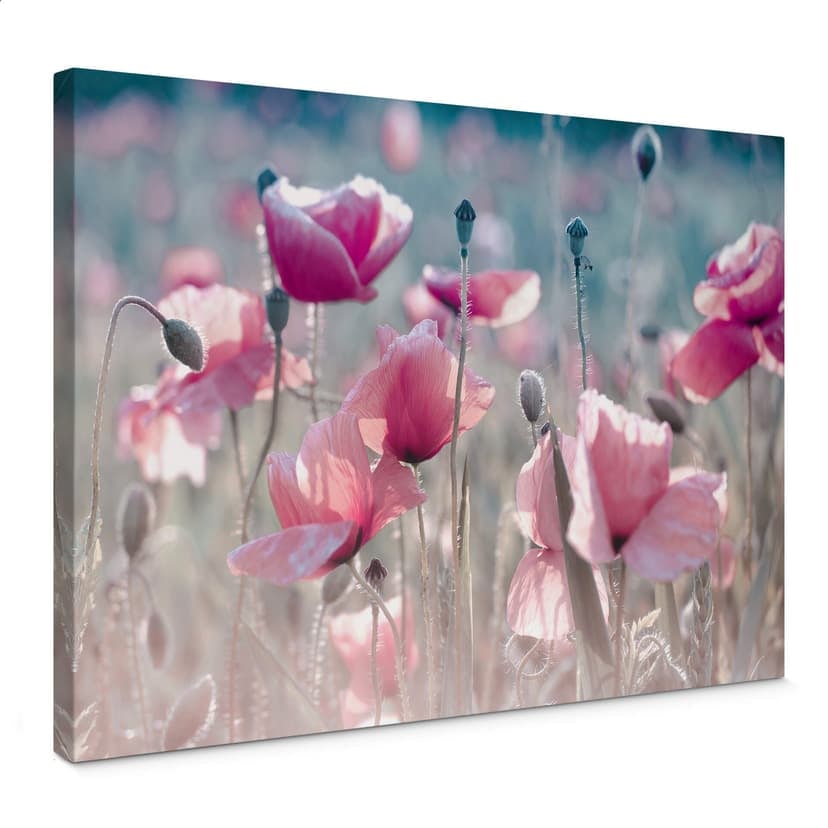 Leinwandbild Delgado - Mohnblumenwiese