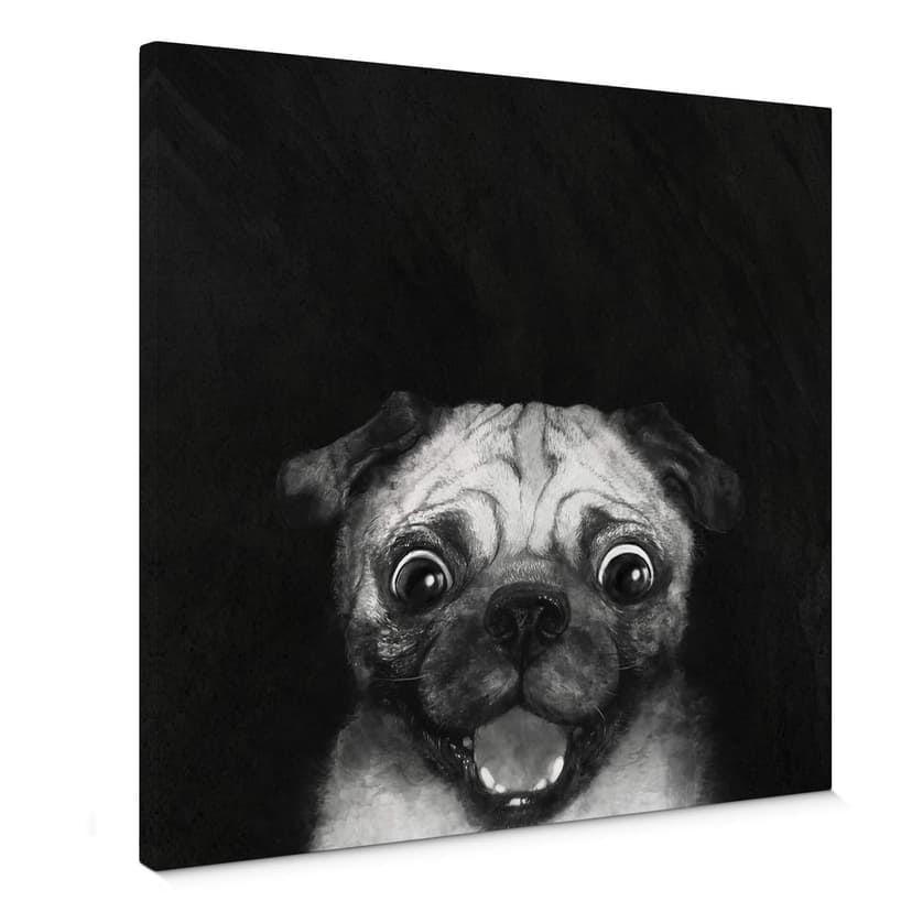 Obraz na płótnie Graves - Snuggle Pug
