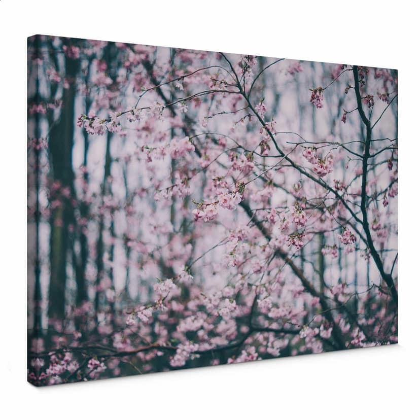 Obraz na płótnie Pink Flower Dream 03