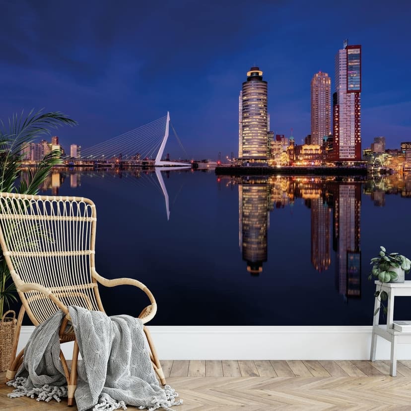 Fototapeta Pablo - Rotterdam