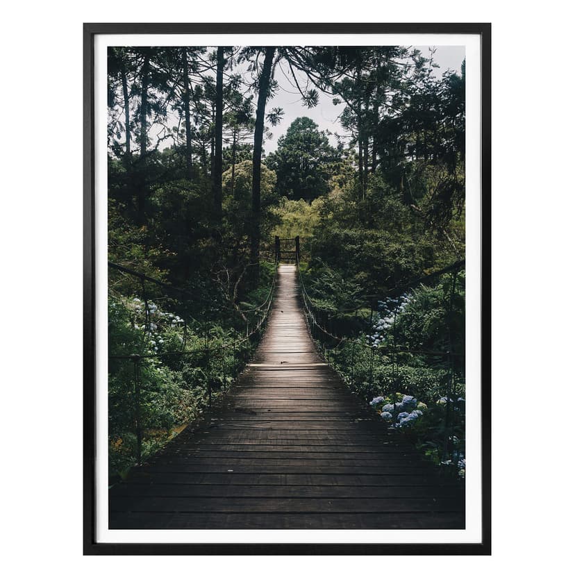 Plakat leśna ścieżka