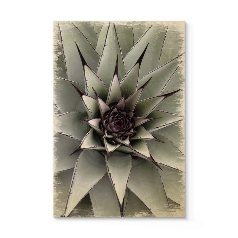 Plakat drewniany Agave 01