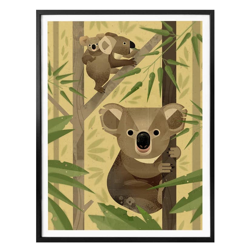 Plakat Brown - Koala