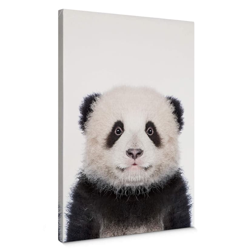 Obraz na płótnie Sisi & Seb - Baby Panda