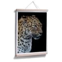 Plakat Dambreville - Ciekawy Jaguar