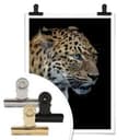Plakat Dambreville - Ciekawy Jaguar