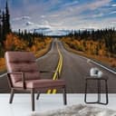 Fototapeta Road Trip - 288x260 cm