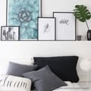 Plakat Agave 02
