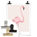 Plakat Pink Beauty - Flamingo