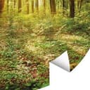 Fototapeta Głęboko w lesie - Okrągła - tapeta flizelinowa/tapeta flizelinowa samoprzylepna