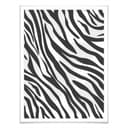 Plakat Zebra - Próbki