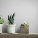 Tapeta z włókniny teksturowana gładka nowoczesna matowa w kolorze białym