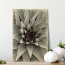 Plakat drewniany Agave 01