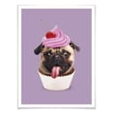 Plakat Loose - Pugcake