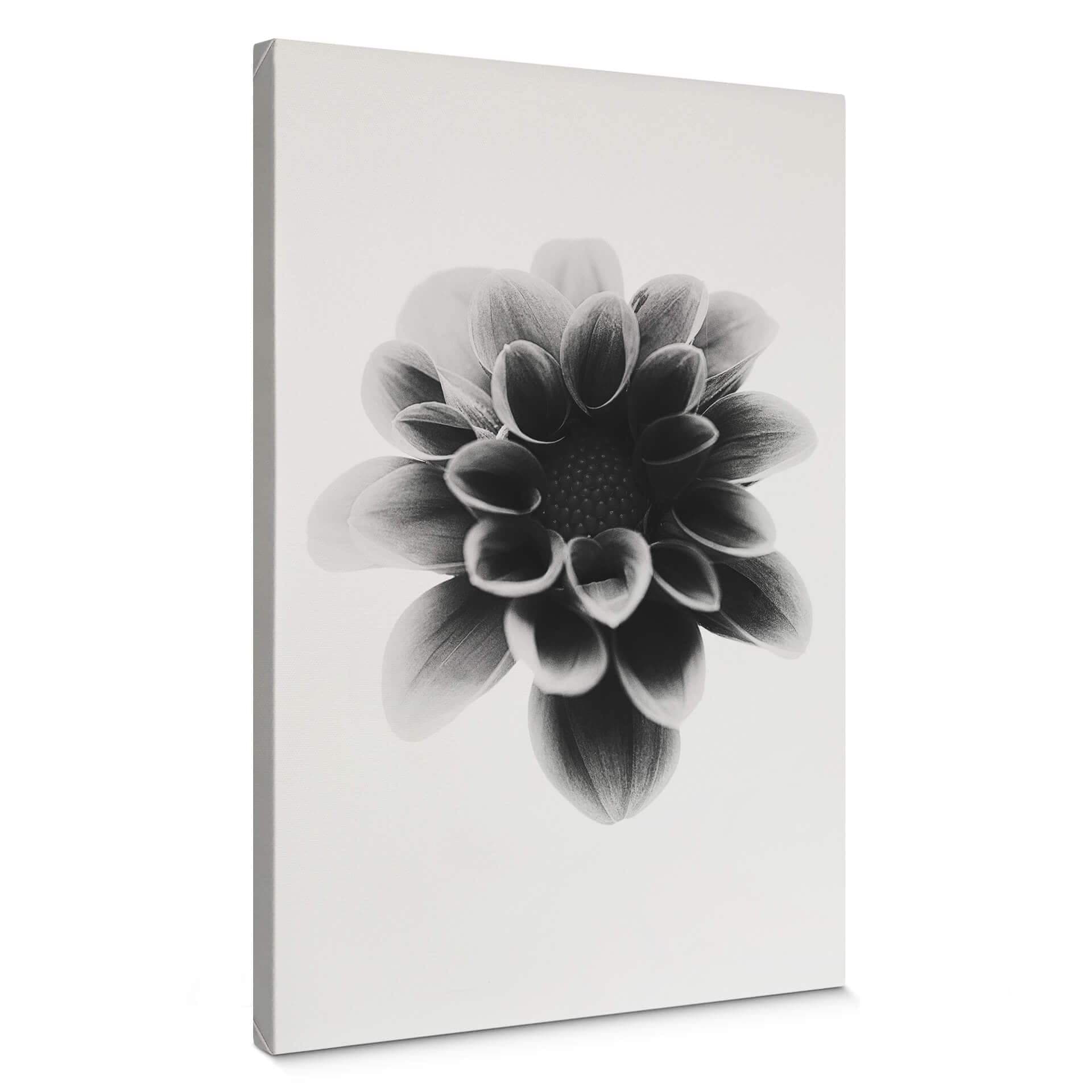 Obraz na płótnie Grønkjær - Dahlia