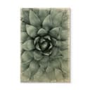 Plakat drewniany Agave 02