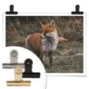 Plakat - Fox 02