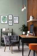 Farba do ścian i sufitów Premium zielona - Matowa farba do ścian wewnętrznych PURO c5001 sage green
