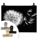Plakat Dandelion