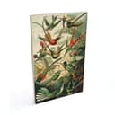 Plakat drewniany Haeckel - Kolibry