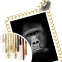 Plakat z gorylem